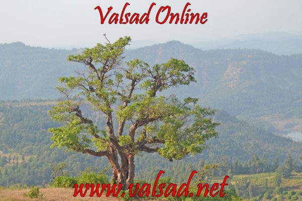 Valsad Online | www.valsad.net