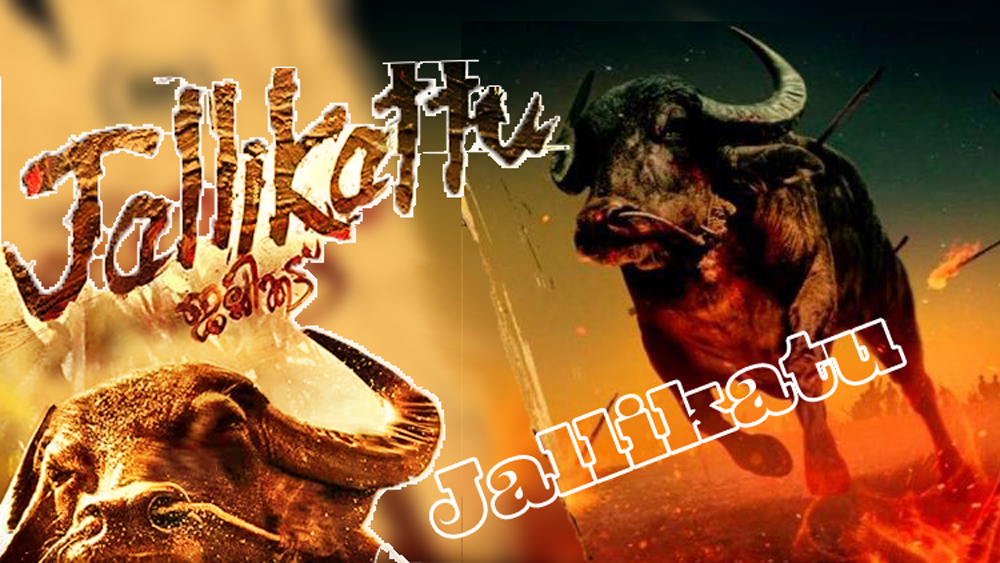 jallikatu-valsadonline-valsad-valsadonline